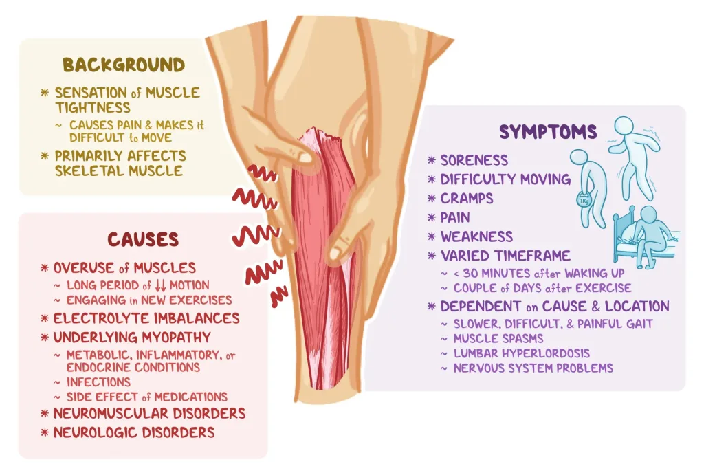 Learn why muscles stay tight even at rest and discover natural ways to relax them. Explore stretching, heat therapy, and magnetic therapy for daily relief.